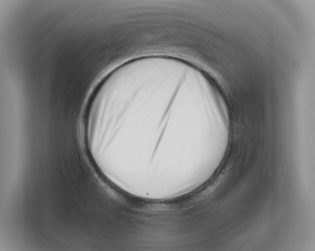 X0000112461517200909141048