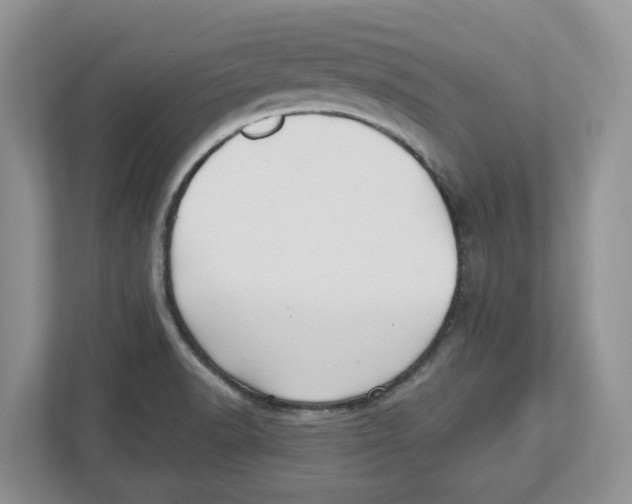 X0000112461518200909141048