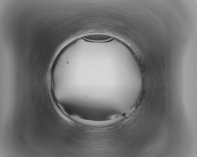 X0000112461519200909141048