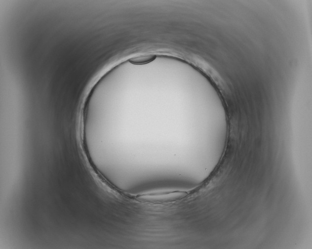 X0000112461520200909141048