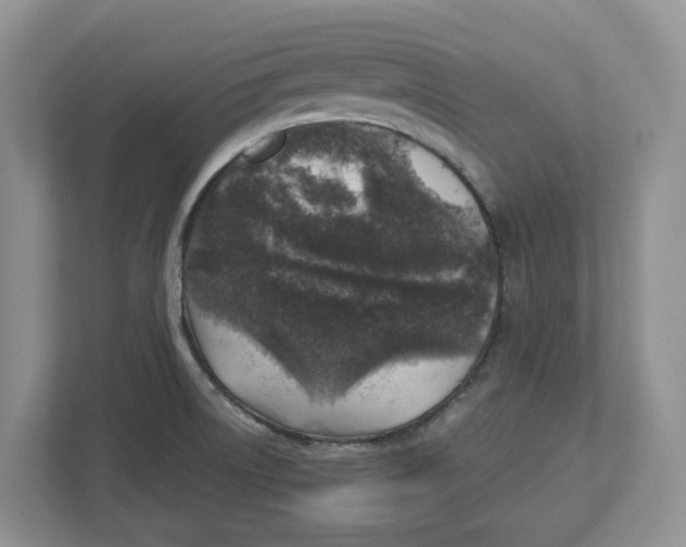 X0000112461522200909141048