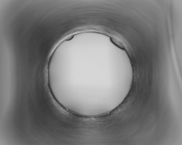 X0000112461524200909141048