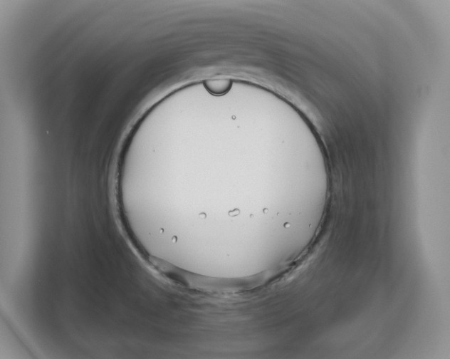 X0000112461525200909141048