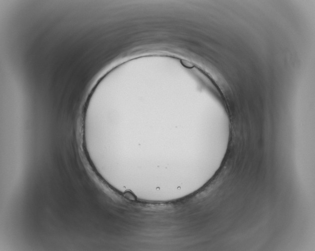 X0000112461526200909141048