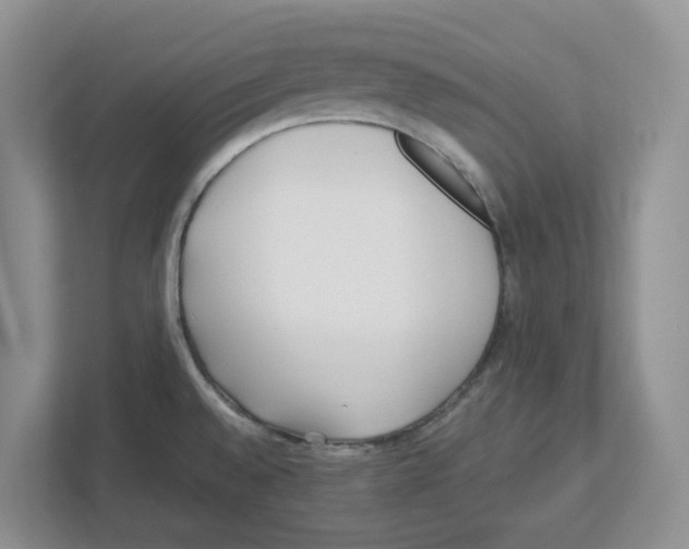 X0000112461528200909141048