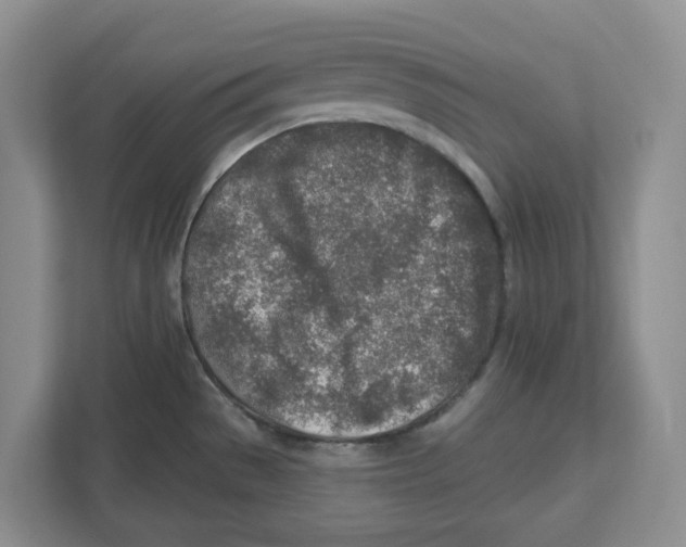 X0000112461529200909141048
