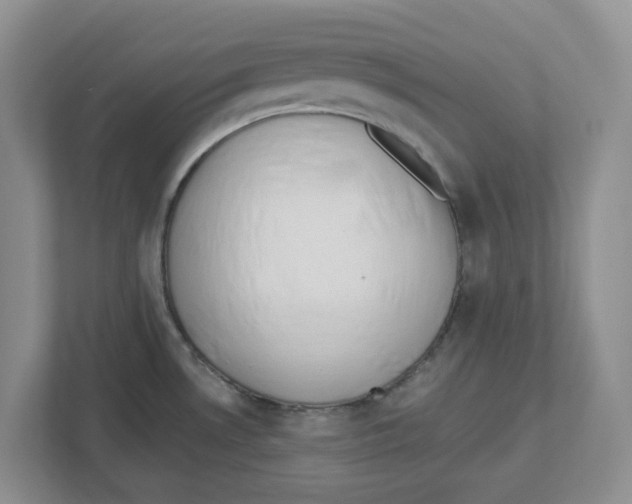 X0000112461530200909141048
