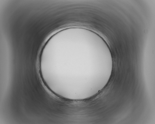 X0000112461531200909141048