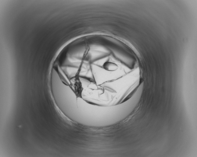 X0000112461532200909141048