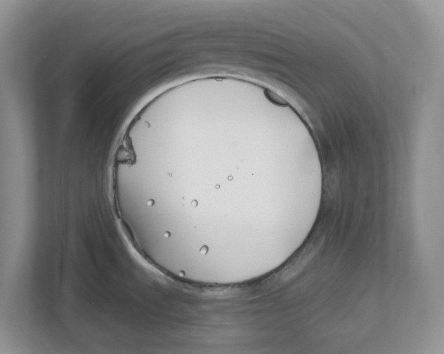 X0000112461535200909141048