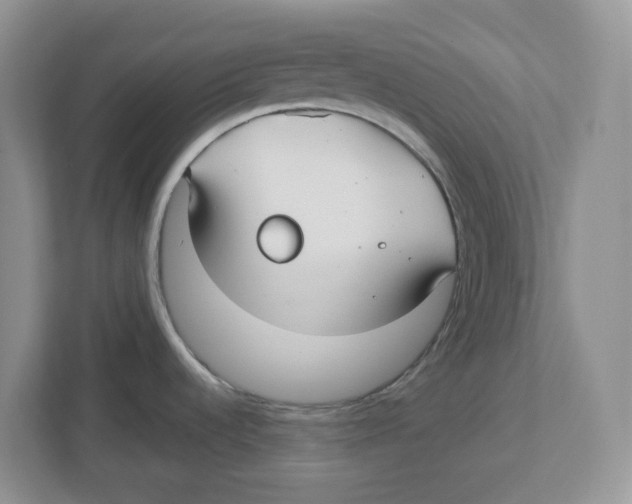 X0000112461536200909141048