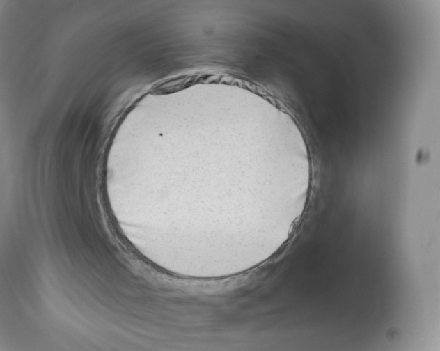 X0000112460001200909281032