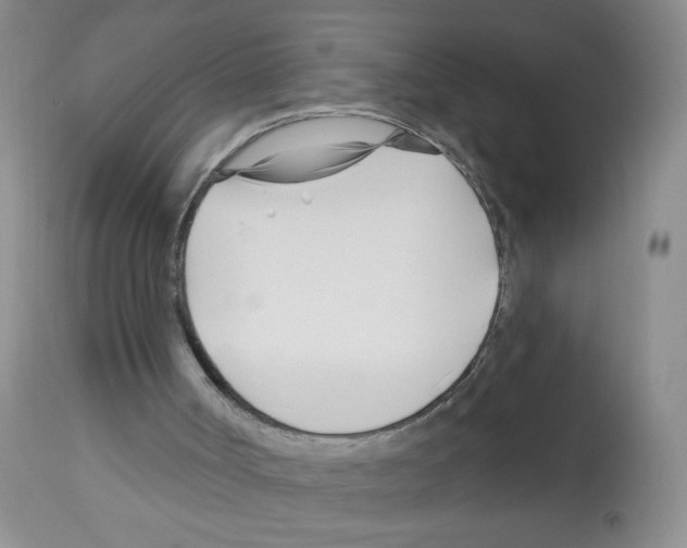 X0000112460002200909281032