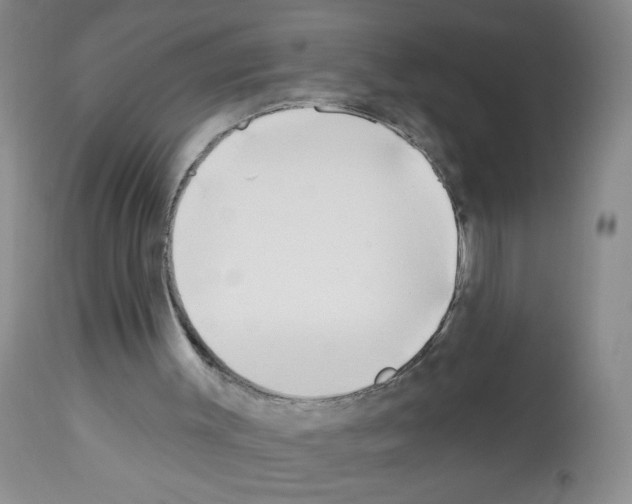 X0000112460003200909281032