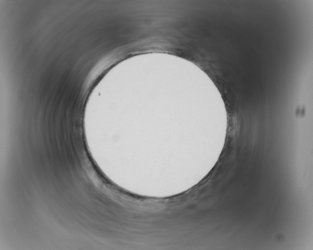 X0000112460004200909281032