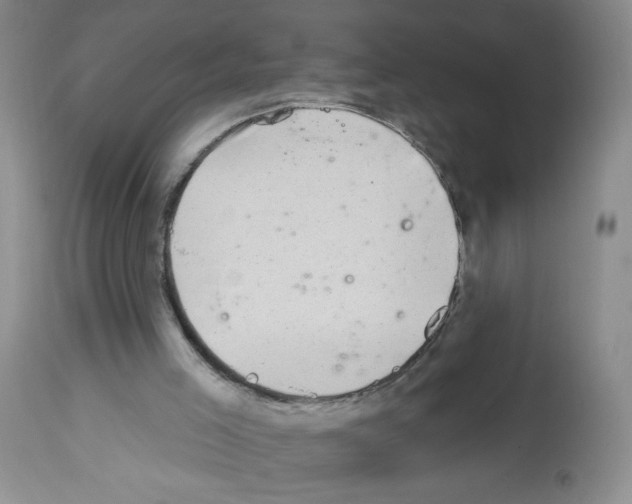 X0000112460005200909281032