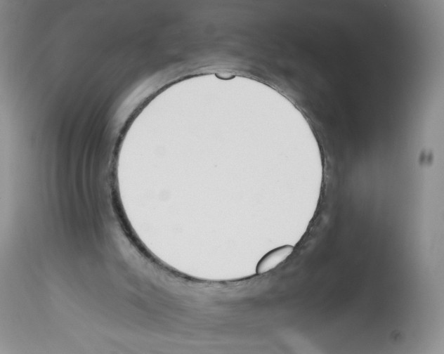 X0000112460007200909281032