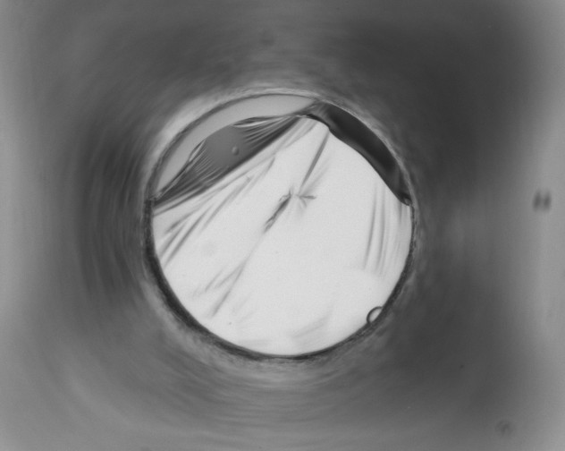 X0000112460008200909281032