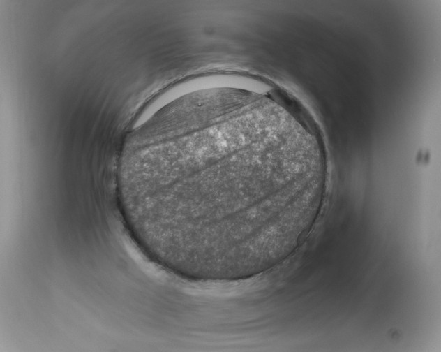 X0000112460009200909281032