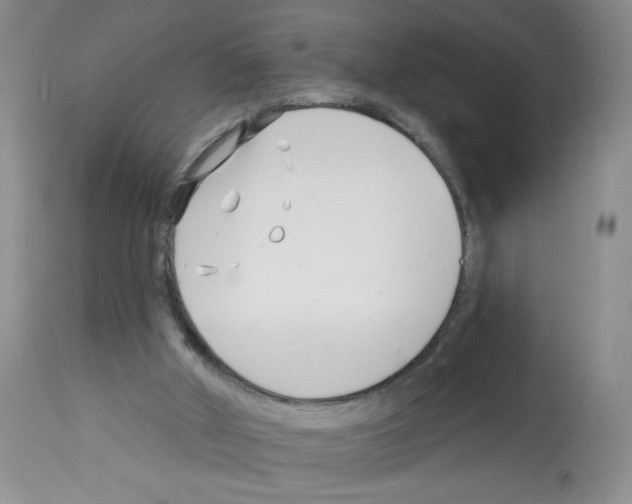 X0000112460010200909281032