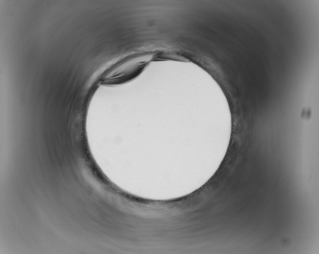 X0000112460012200909281032
