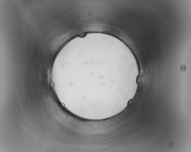 X0000112460013200909281032