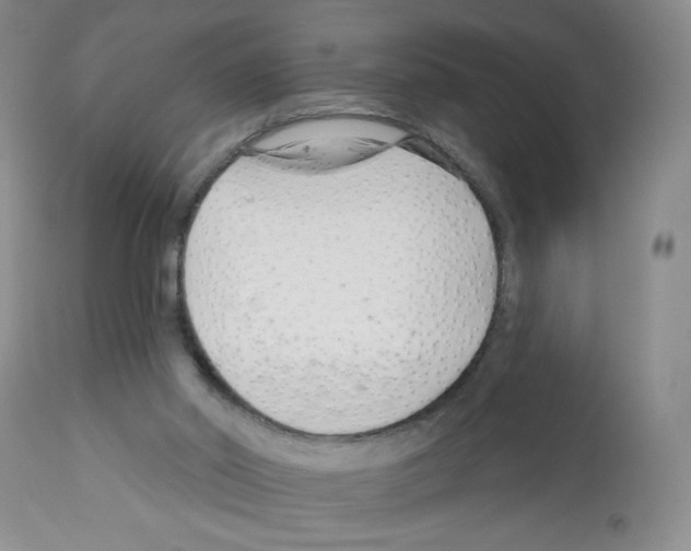 X0000112460014200909281032