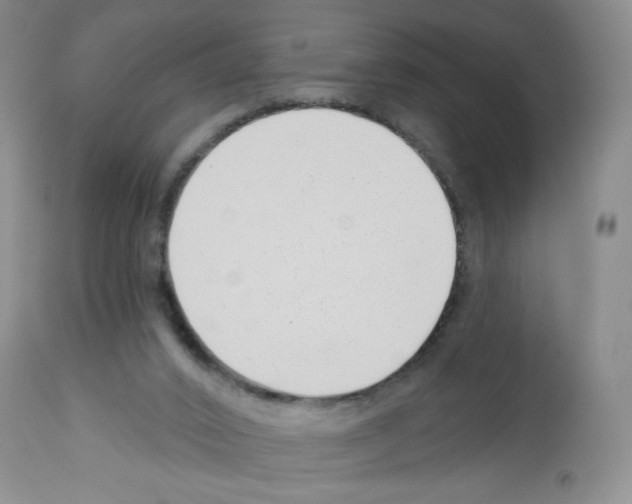 X0000112460016200909281032