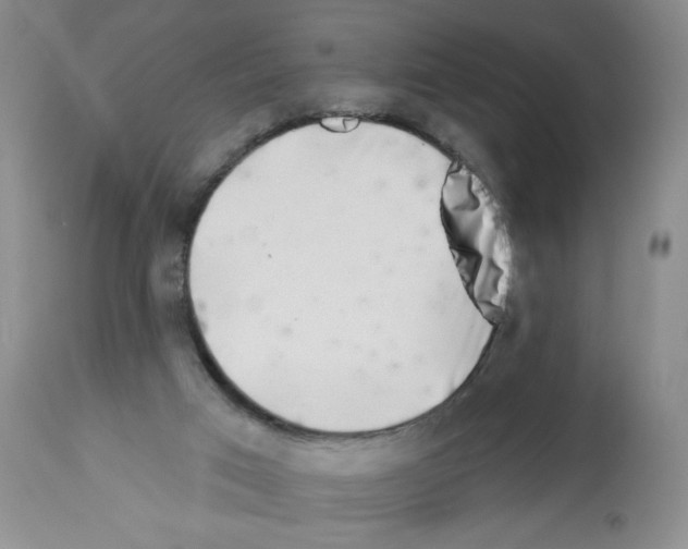 X0000112460017200909281032