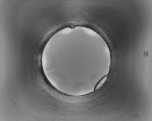 X0000112460019200909281032