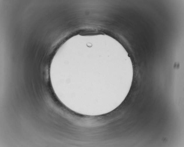 X0000112460020200909281032