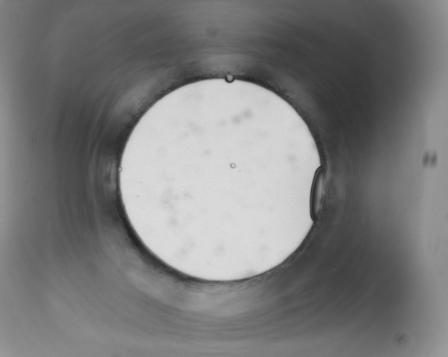 X0000112460021200909281032