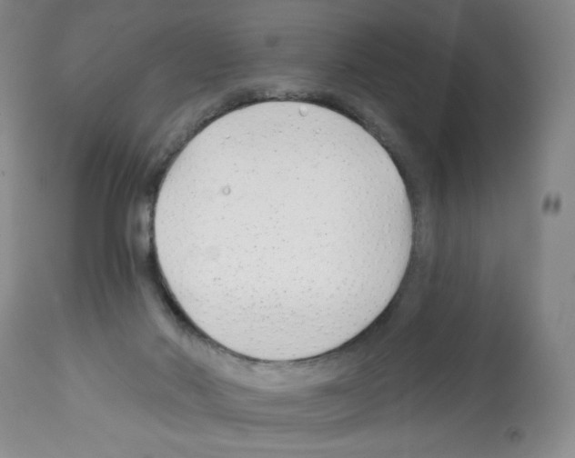 X0000112460022200909281032