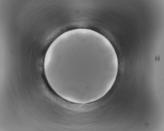 X0000112460023200909281032