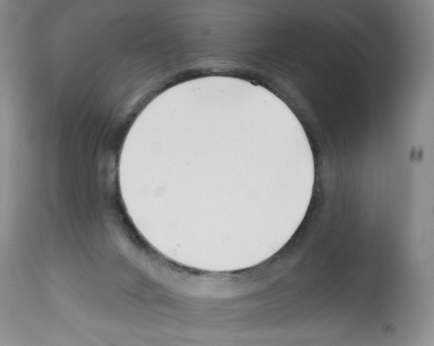 X0000112460024200909281032