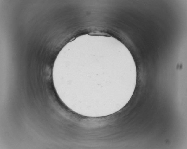 X0000112460025200909281032