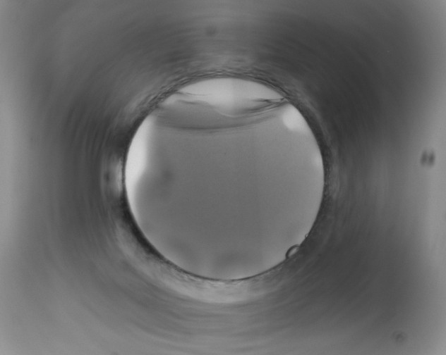 X0000112460027200909281032