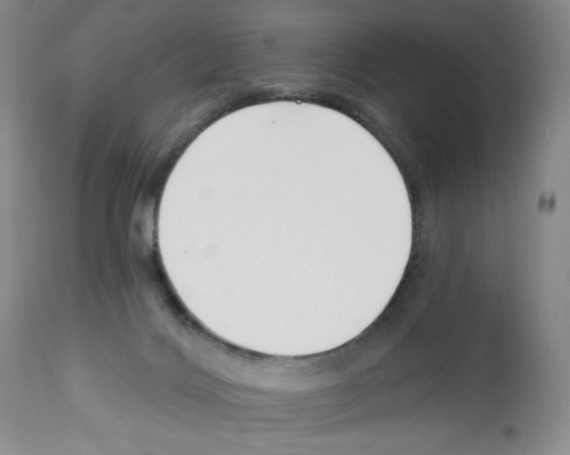 X0000112460028200909281032