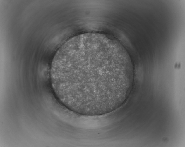 X0000112460029200909281032
