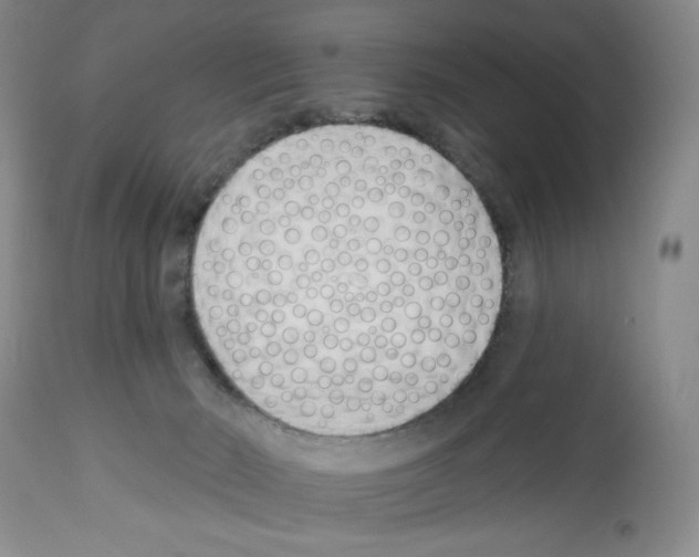 X0000112460030200909281032