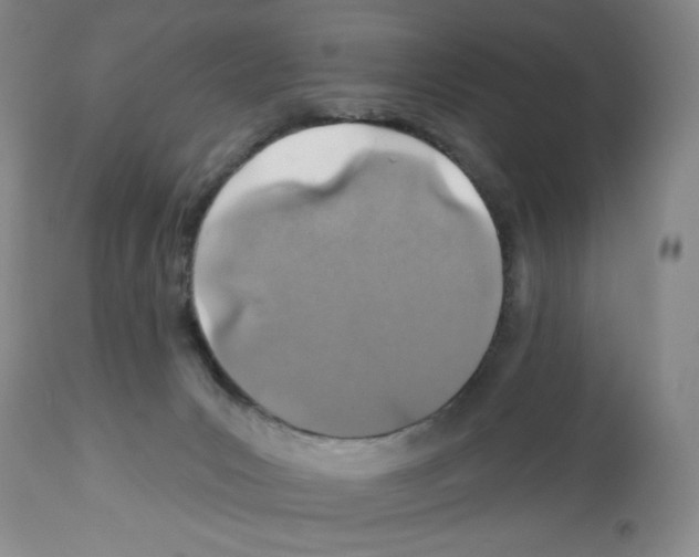 X0000112460031200909281032