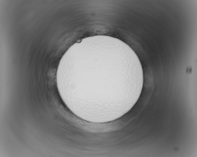 X0000112460034200909281032