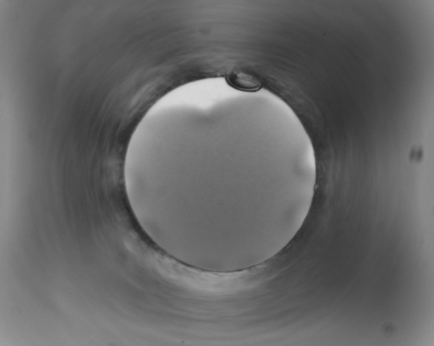X0000112460035200909281032