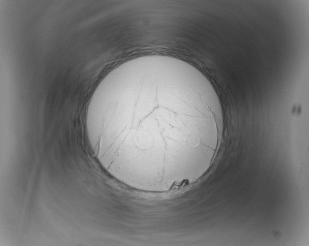 X0000112460037200909281032