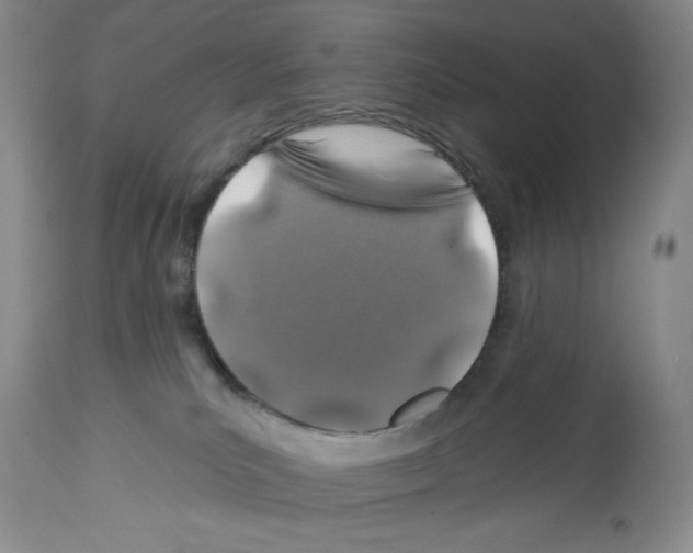 X0000112460039200909281032