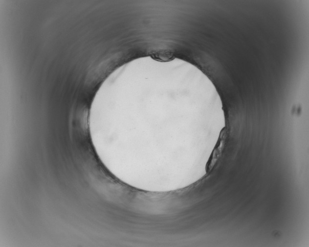 X0000112460041200909281032