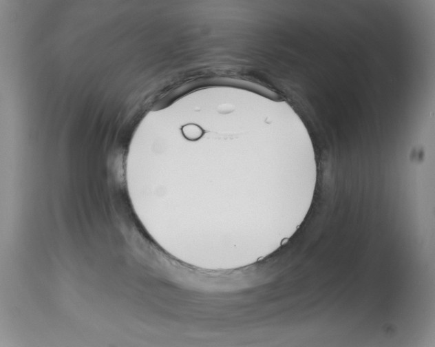 X0000112460042200909281032