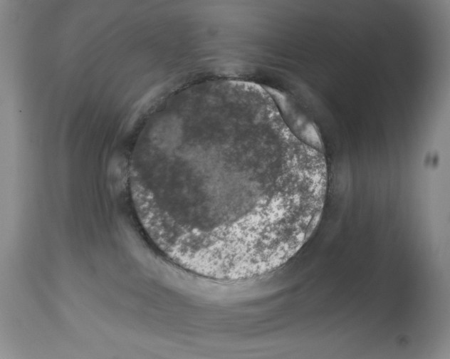 X0000112460043200909281032