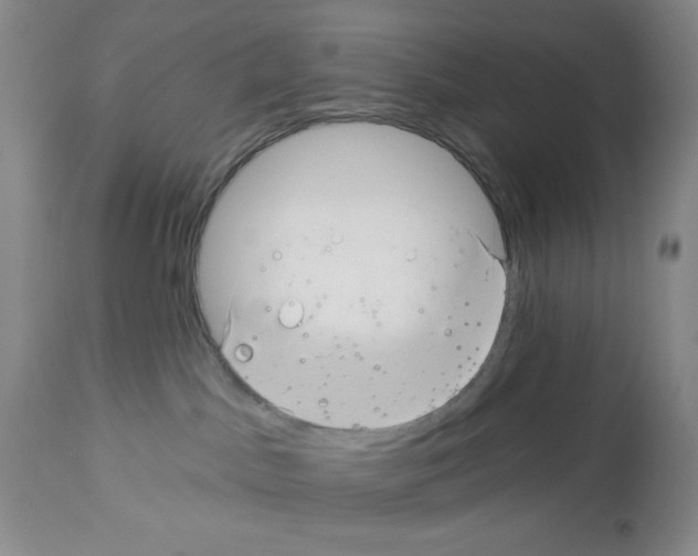 X0000112460045200909281032