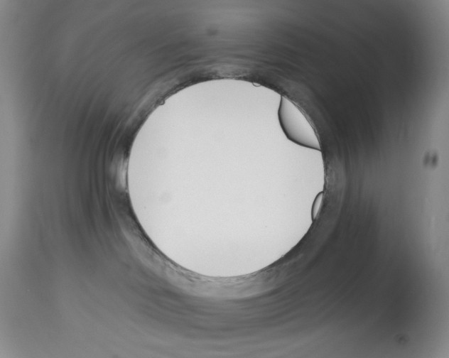 X0000112460046200909281032